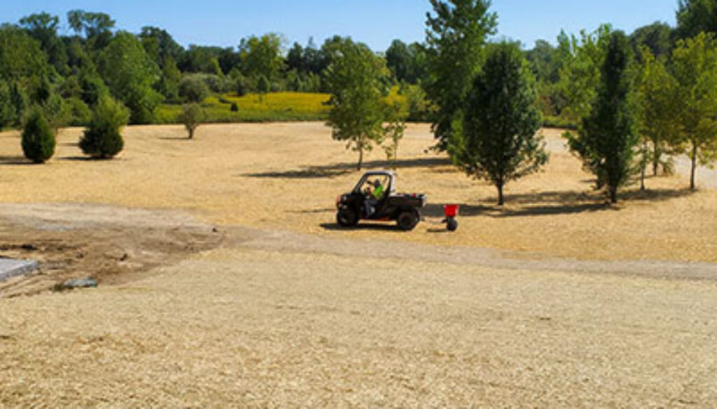 sweeping view of large yard with grading and seeding; surrounded by tree line