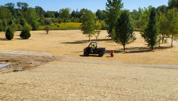 sweeping view of large yard with grading and seeding; surrounded by tree line