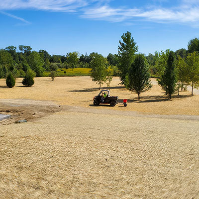 sweeping view of large yard with grading and seeding; surrounded by tree line