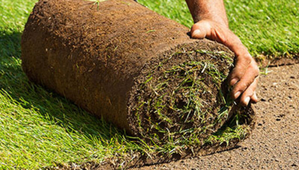 closeup image of hands unrolling sod