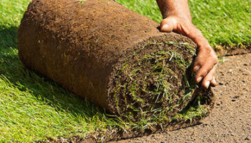 closeup image of hands unrolling sod