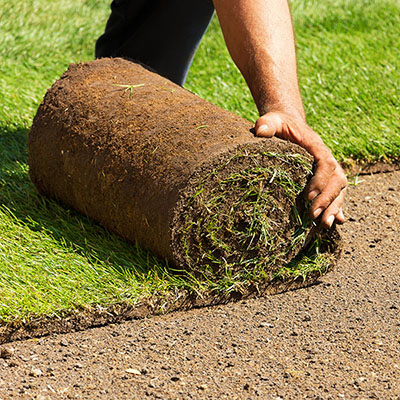 closeup image of hands unrolling sod