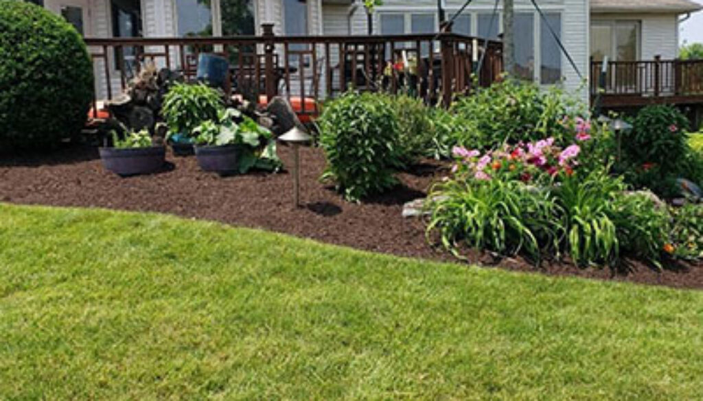 Backyard with a wooden deck attached to a light-colored house, red chairs, and a mulched flower bed of pink and white flowers; green lawn in the foreground.