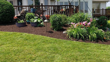 Backyard with a wooden deck attached to a light-colored house, red chairs, and a mulched flower bed of pink and white flowers; green lawn in the foreground.